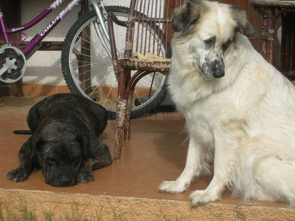 Max y Kala