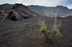 Chã das Caldeiras, Fogo