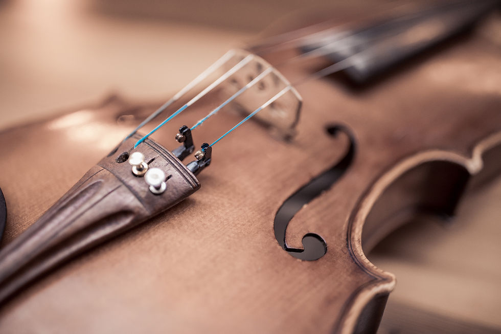 Альт, скрипка, инструмент