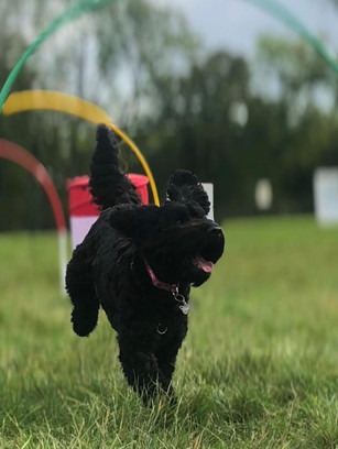 49887069-DFE8-4E60-9D0D-2206AC43354B_1_201_a.jpeg