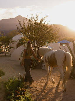 12-20250325-DomeHome.JPG