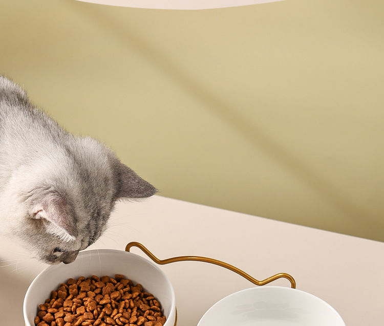 Thumbnail: 1-3pcs Creative Cervical Protection Pet Supplies Ceramic Double Cat Bowl Ceramic