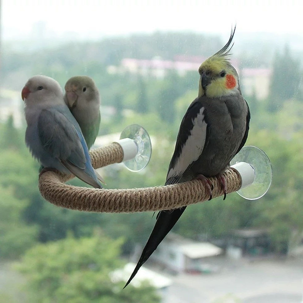 Thumbnail: Linen Rope DIY Bendable Perch for Birds Non-slip Comfortable Grip Suction Cup Bi
