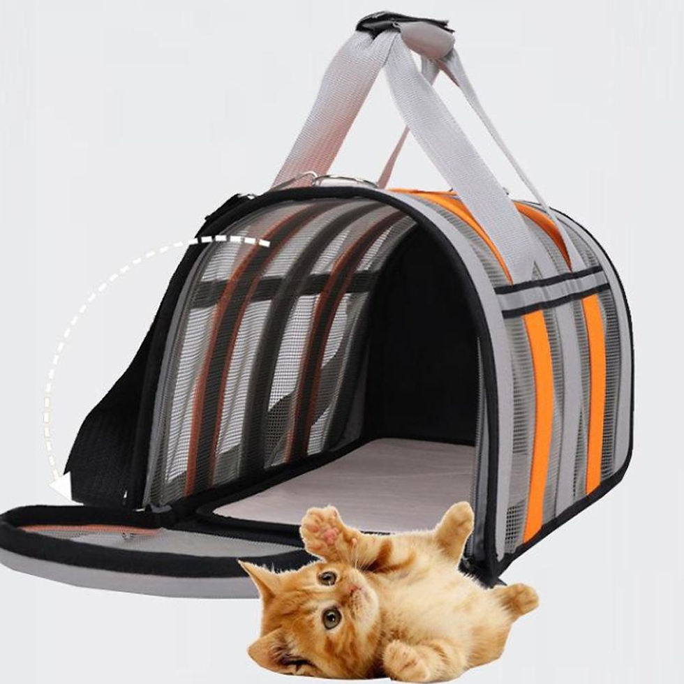 Thumbnail: New Breathable Cat outing Bag for Pet Dog, Summer Skew Straddle, Portable, Folda