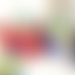 Le Chef de l’Etat honore la mémoire de Feu le Président Omar Bongo Ondimba