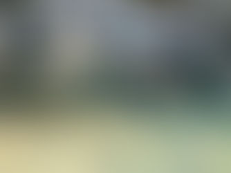 信じがたい光景