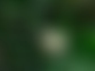 暑さ寒さも彼岸まで