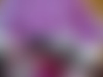 すごい胡蝶蘭！！