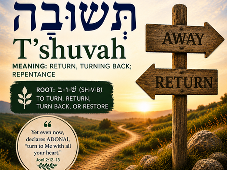 Hebrew Word of the Week—                            תְּשׁוּבָה / T'shuvah