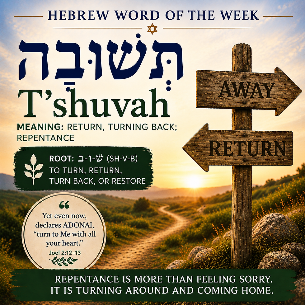 Hebrew Word of the Week— תְּשׁוּבָה / T'shuvah