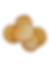 Sugar Cookie