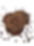 Double Chocolate Chip Cookie