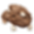 Hot Cocoa Cookie