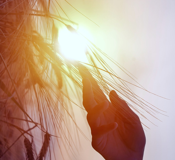 QUANTUM LOGISTICS AGRICULTURE