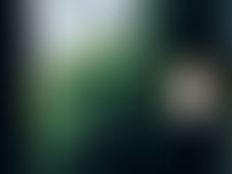 Kentfield Modern Remodel: A Seamless Blend of Architecture, Nature & Elevated Living