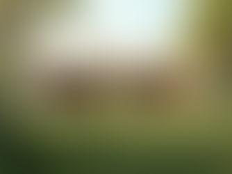 Sustainable Construction Services Tailored for Guyana