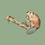 Miniature : Castor