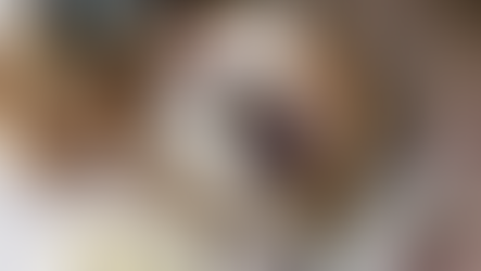 Comment programmer sa pierre?