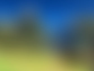 Tips for Moving to New Zealand