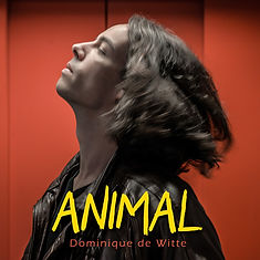 Dominique de Witte - Pochette 3e album ANIMAL - carré.jpg