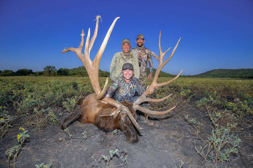 ELK