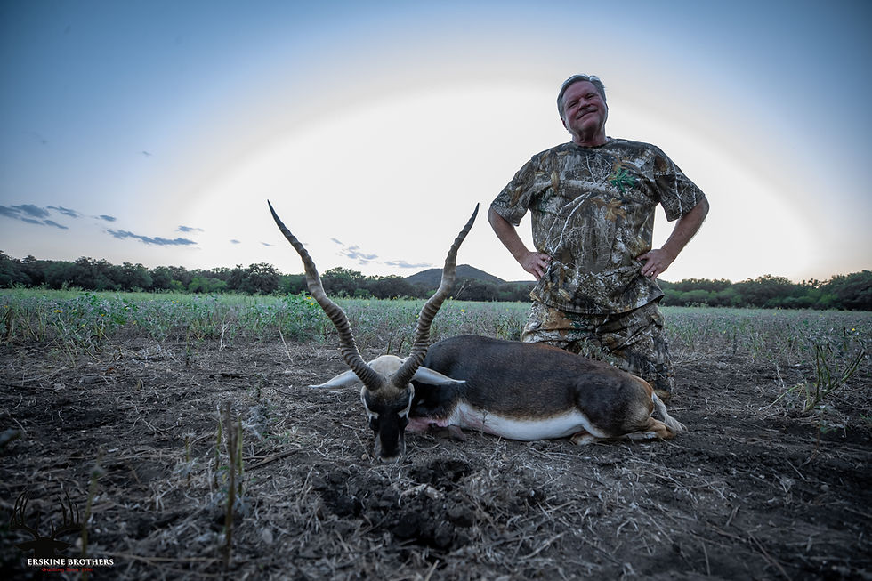 BLACKBUCK