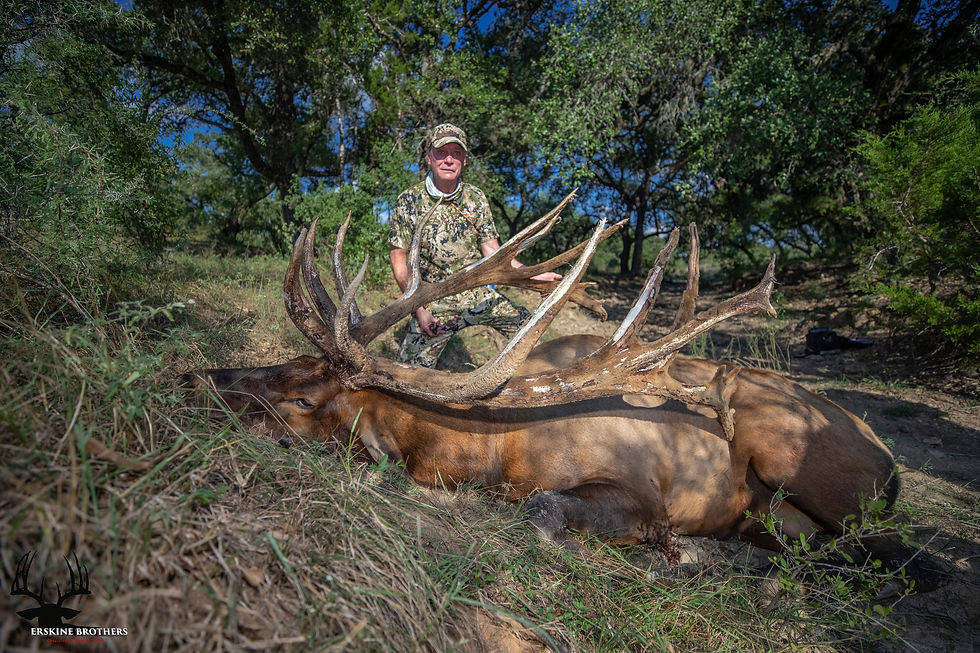 ELK