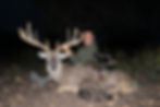 168 WHITETAIL