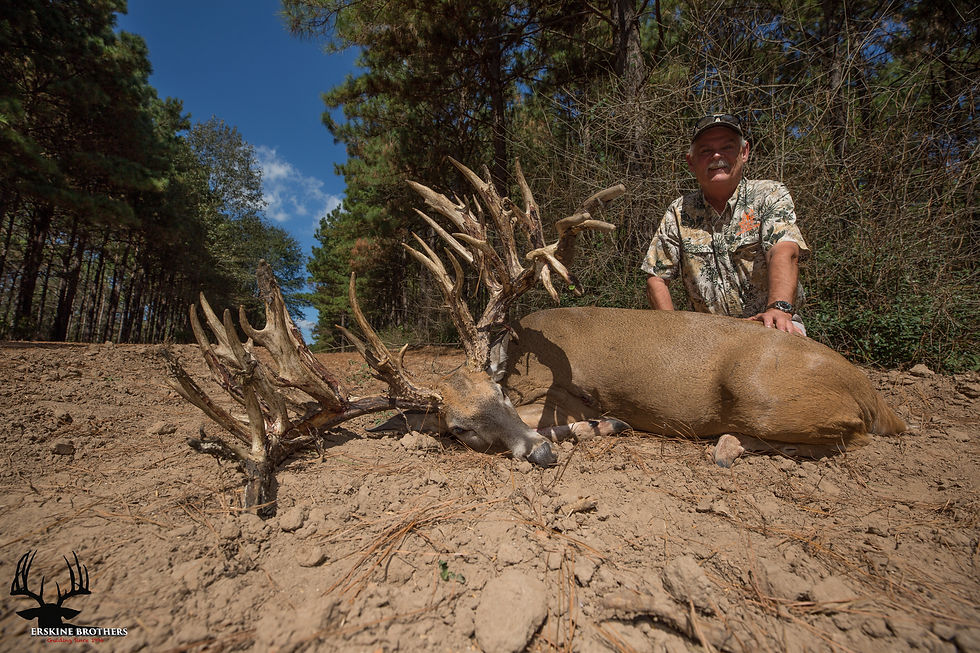 WHITETAIL