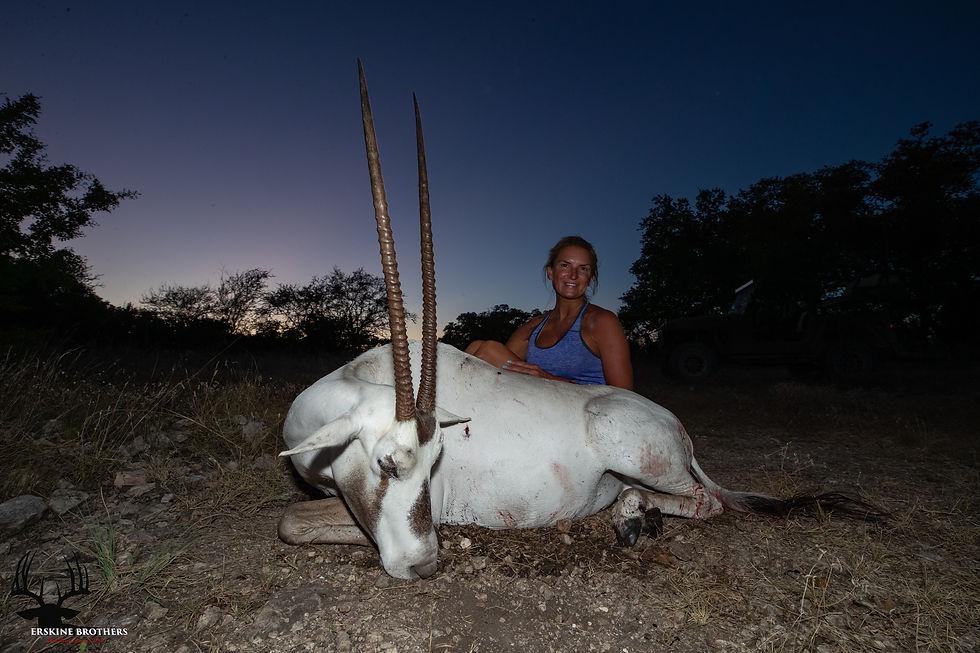 ARABIAN ORYX