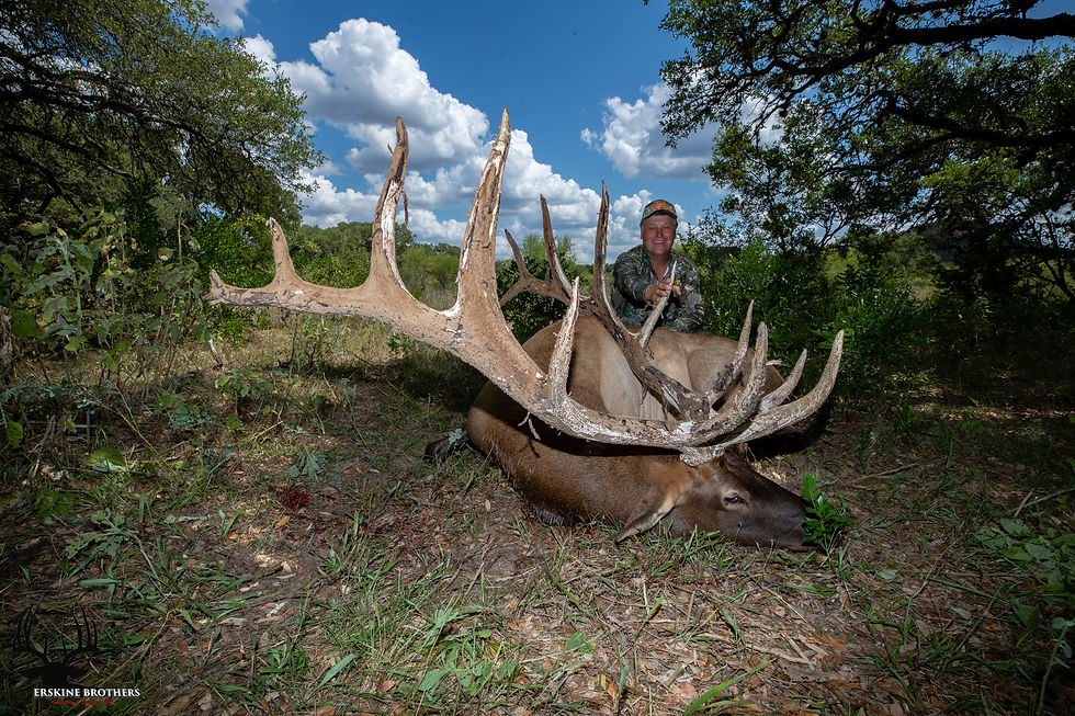 411 ELK