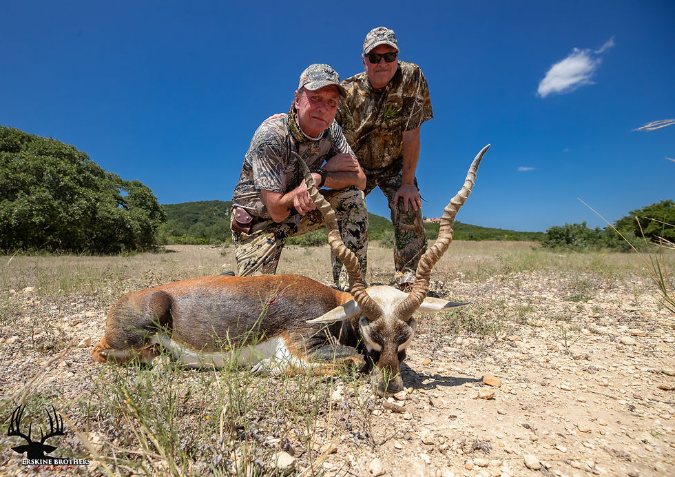 BLACKBUCK
