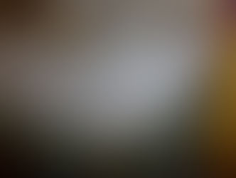 Les Dits de Danse 2014 à brest