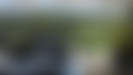 Dolce Campo Real: Uma tacada de tranquilidade