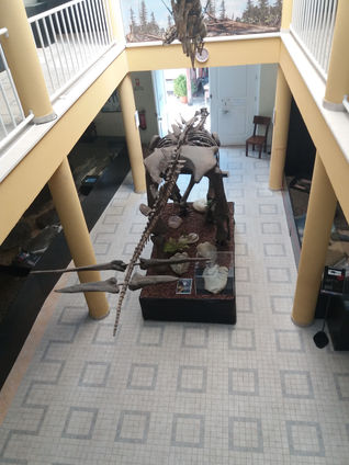 O Mistério dos Dinossauros