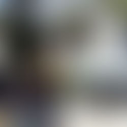 Συμβολική παρουσία της ΠτΔ μαζί με τον ΥΠΕΘΑ και τον ΑΓΕΕΘΑ στις καστανιές Έβρου