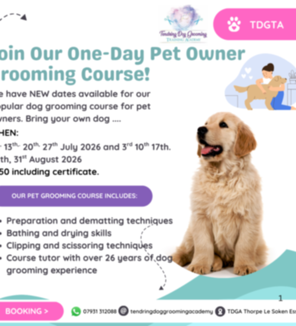 TDGA pet owner (2).png