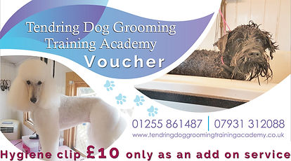 tendringdog grooming academy voucher money off