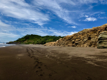 Feliz de Campo, Playa Silencio, Puntarenas, Costa Rica