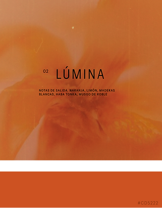 LÚMINA.png