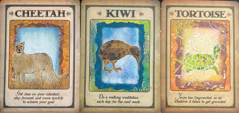 Oracle cards intuitively drawn from the Messages From Your Animal Spirit Guides deck.
