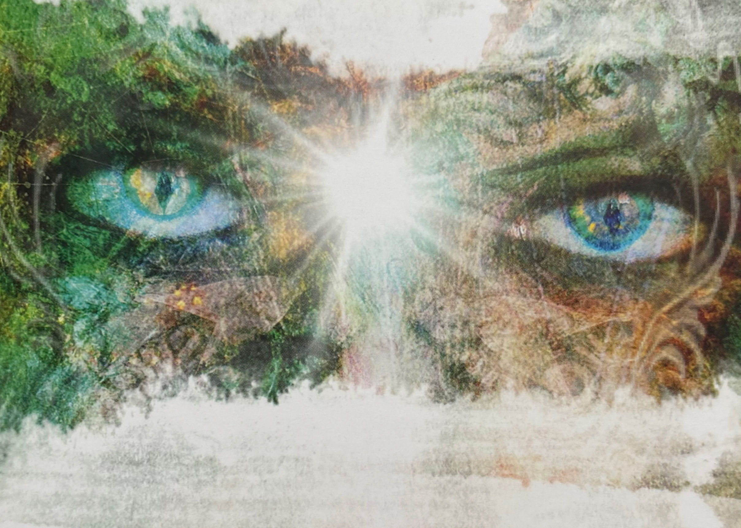Shamanic Guidance Oracle Card Reading