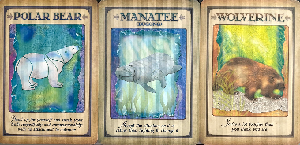 Oracle cards intuitively drawn from the Messages From Your Animal Spirit Guides deck.