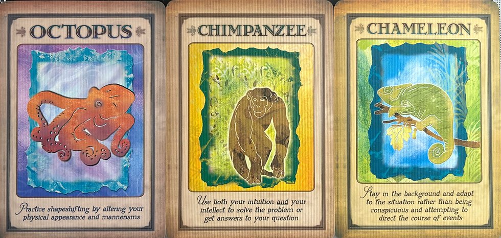 Oracle cards intuitively drawn from the Messages From Your Animal Spirit Guides deck.