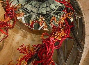 APR_maison parisienne_les coraux de la liberte_PDW25_credit_Vincent Leroux_8_Insitu.jpg