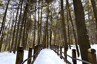 Photo by Gina Samarotto 5 copy.jpg