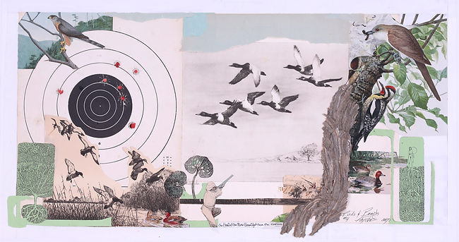 Birds & Beasts Fay Wood.jpg