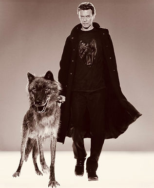 2022-03-10 Bowie Platinum_1-6.jpg