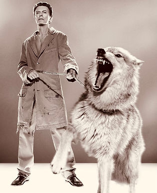 2022-03-10 Bowie Platinum_1-7.jpg