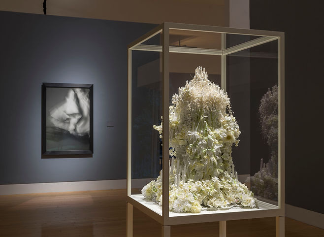 Petah Coyne